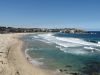 Australien-Sydney-Bondi-Beach-01-130526-sxc-stand-rest-only-1055949_30058537.jpg